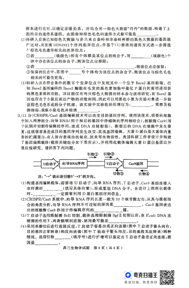 生物试卷_2025年4月_2504272025年河南省五市高三第二次联考（许昌、平顶山、南阳、新乡、洛阳）（全科）_2025届河南省五市高三下学期第二次联考生物