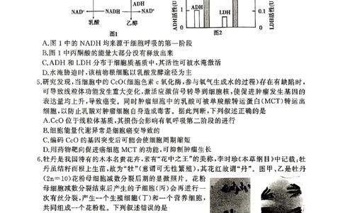 生物试卷_2025年4月_2504272025年河南省五市高三第二次联考（许昌、平顶山、南阳、新乡、洛阳）（全科）_2025届河南省五市高三下学期第二次联考生物