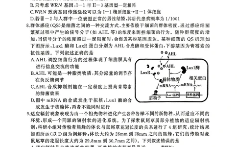 生物试卷_2025年4月_2504272025年河南省五市高三第二次联考（许昌、平顶山、南阳、新乡、洛阳）（全科）_2025届河南省五市高三下学期第二次联考生物