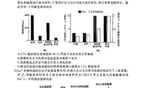 生物试卷_2025年4月_2504272025年河南省五市高三第二次联考（许昌、平顶山、南阳、新乡、洛阳）（全科）_2025届河南省五市高三下学期第二次联考生物