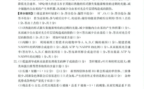 高三生物生物答案_2025年4月_250408全国优创名校金太阳联考暨山西江西河南辽宁金太阳高三4月联考_生物试题（含解析）