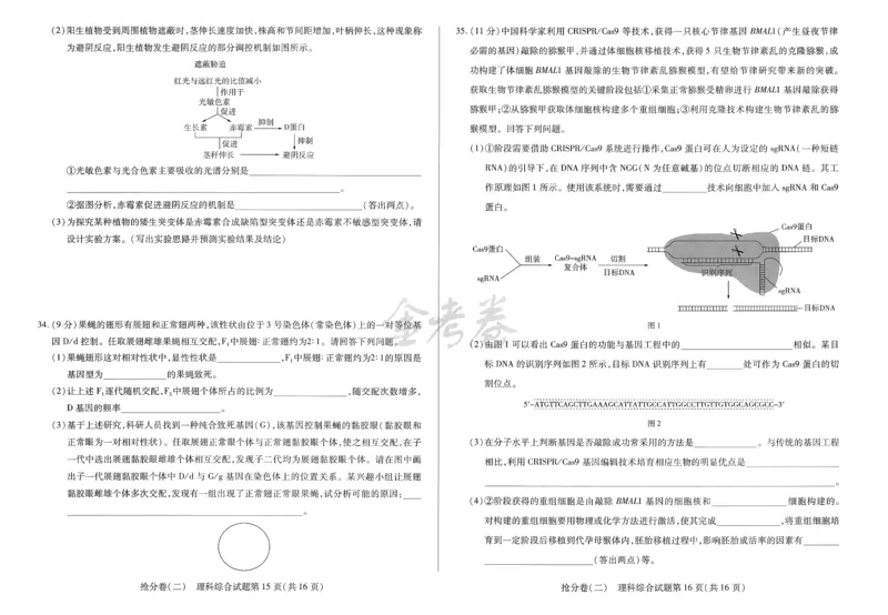 2024抢分密卷高考抢分卷理科综合新教材_2024高考押题卷_12024天星全系列_tx抢分密卷_tx抢分密卷（新教材）_新教材理科综合
