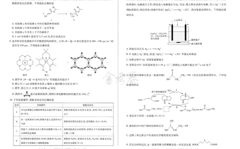 2024抢分密卷高考抢分卷理科综合新教材_2024高考押题卷_12024天星全系列_tx抢分密卷_tx抢分密卷（新教材）_新教材理科综合