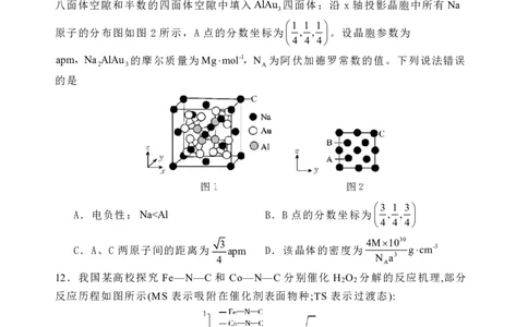 石家庄市第一中学2025届高考第一次模拟考试化学试卷_2025年2月_2502272025届河北省石家庄市第一中学高三下学期一模考试试题（全科）