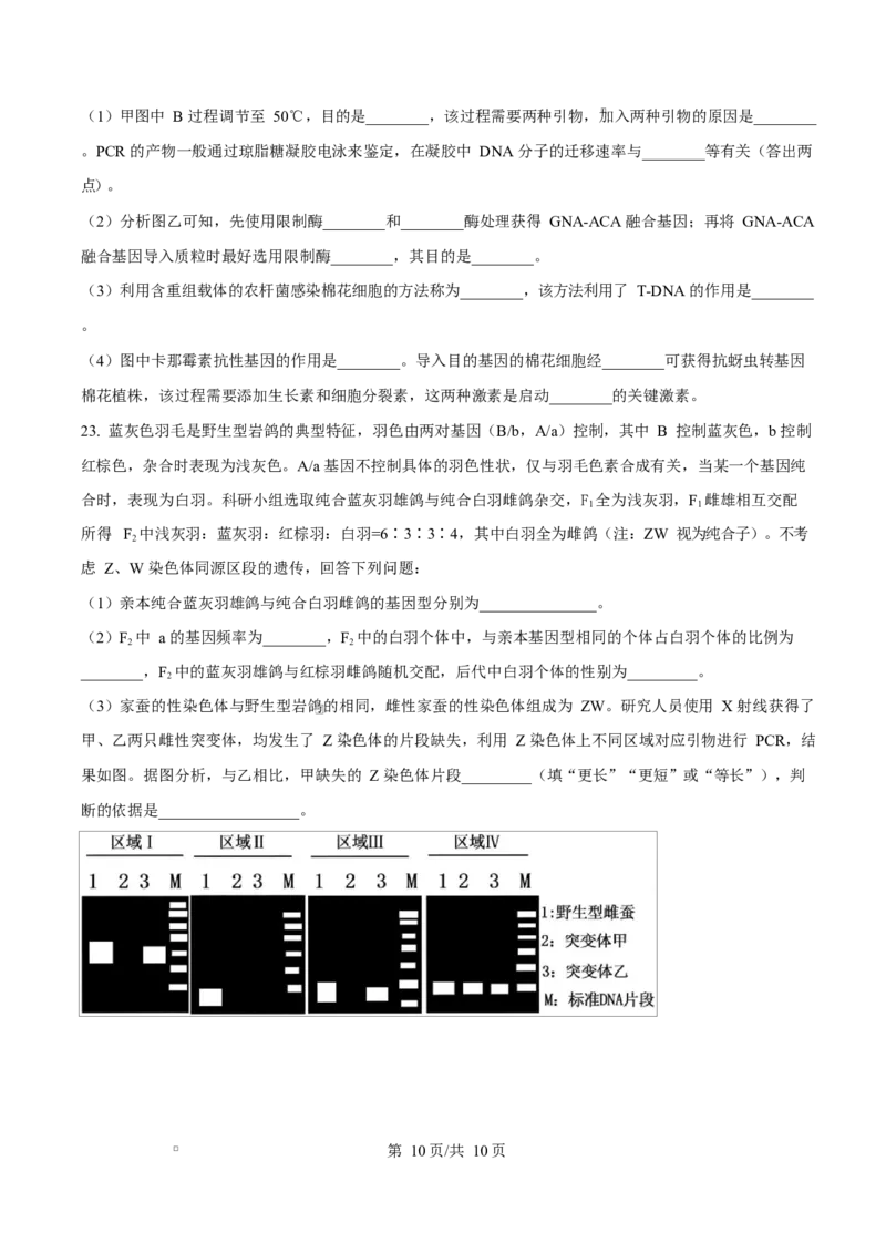 河北省衡水市高中联考2026届高三上学期质检（一）生物_2025年9月_250910河北省衡水市高中联考2026届高三上学期质检（一）（全科）