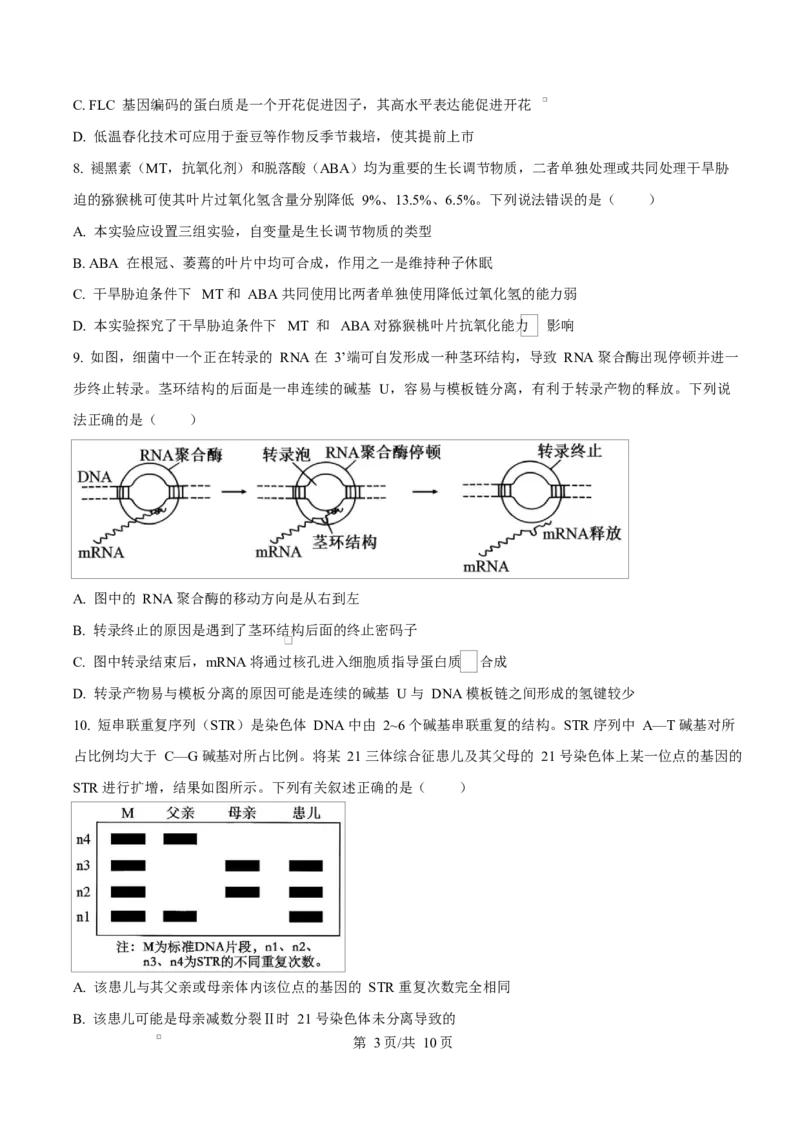 河北省衡水市高中联考2026届高三上学期质检（一）生物_2025年9月_250910河北省衡水市高中联考2026届高三上学期质检（一）（全科）