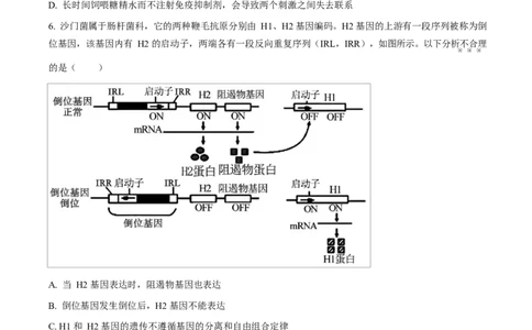 河北省衡水市高中联考2026届高三上学期质检（一）生物_2025年9月_250910河北省衡水市高中联考2026届高三上学期质检（一）（全科）
