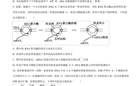河北省衡水市高中联考2026届高三上学期质检（一）生物_2025年9月_250910河北省衡水市高中联考2026届高三上学期质检（一）（全科）