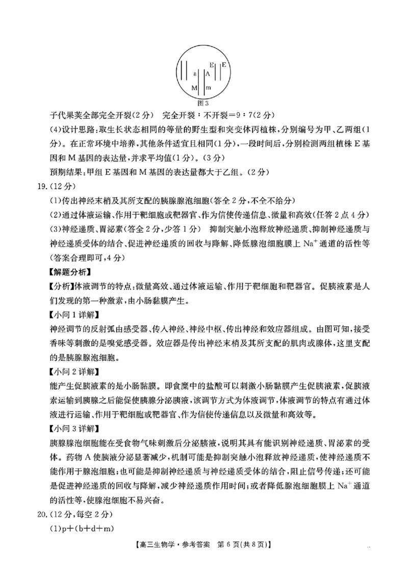 生物答案_2025年10月_12026年试卷教辅资源等多个文件_251024湖南2026届金太阳十月份高三年级阶段监测联合考试（全科）