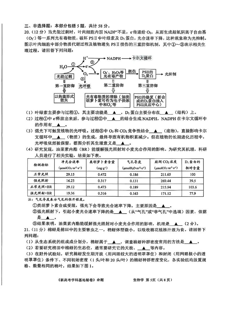 生物+答案2025届江苏省新高考基地学校高三下学期第二次大联考生物试题_2025年4月_250419江苏省新高考基地学校2024-2025学年高三下学期第二次大联考（全科）