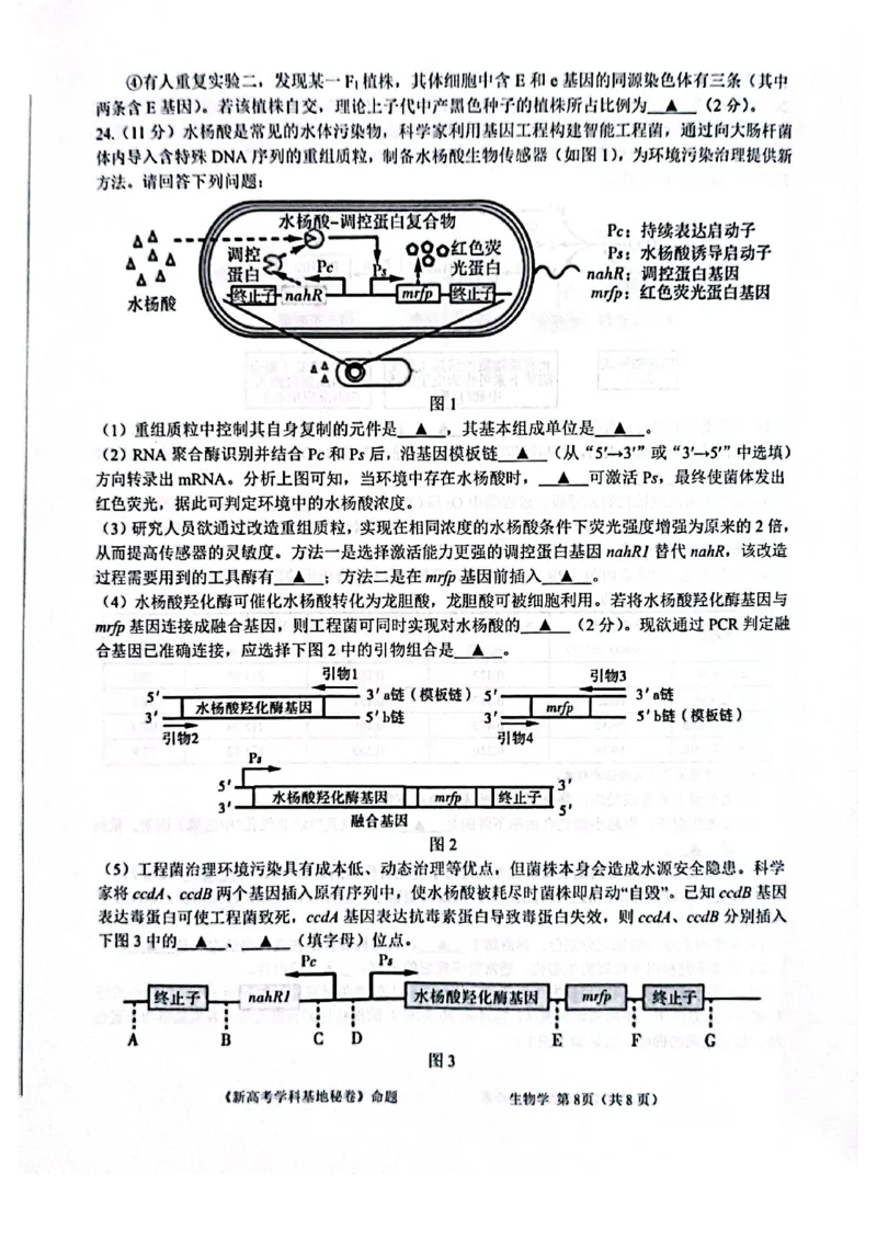 生物+答案2025届江苏省新高考基地学校高三下学期第二次大联考生物试题_2025年4月_250419江苏省新高考基地学校2024-2025学年高三下学期第二次大联考（全科）