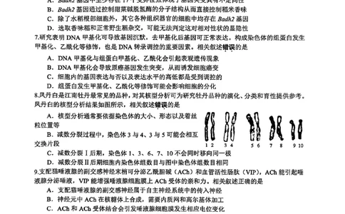 生物+答案2025届江苏省新高考基地学校高三下学期第二次大联考生物试题_2025年4月_250419江苏省新高考基地学校2024-2025学年高三下学期第二次大联考（全科）