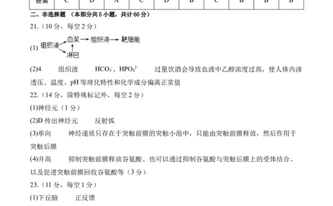 高二生物期中模拟卷01（参考答案）（新高考专用）(1)_1多考区联考_1014高二期中模拟卷（新高考通用）黄金卷：2024-2025学年高二上学期期中模拟考试