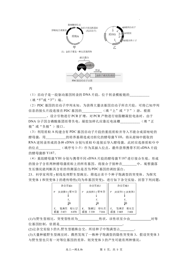 河北省石家庄实验中学2025届高三年级第一次调研考试生物_2025年3月_250313河北省石家庄实验中学2025届高三年级第一次调研考试（全科）