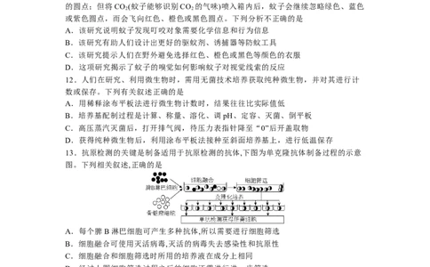 河北省石家庄实验中学2025届高三年级第一次调研考试生物_2025年3月_250313河北省石家庄实验中学2025届高三年级第一次调研考试（全科）