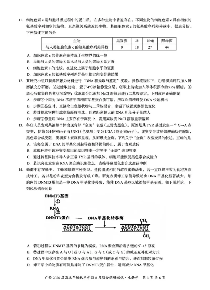 广西2026届新高考秋季学期8月适应性联合测试生物_2025年8月_250821邕衡教育&middot;名校联盟广西2026届新高考秋季学期8月适应性联合测试（全科）