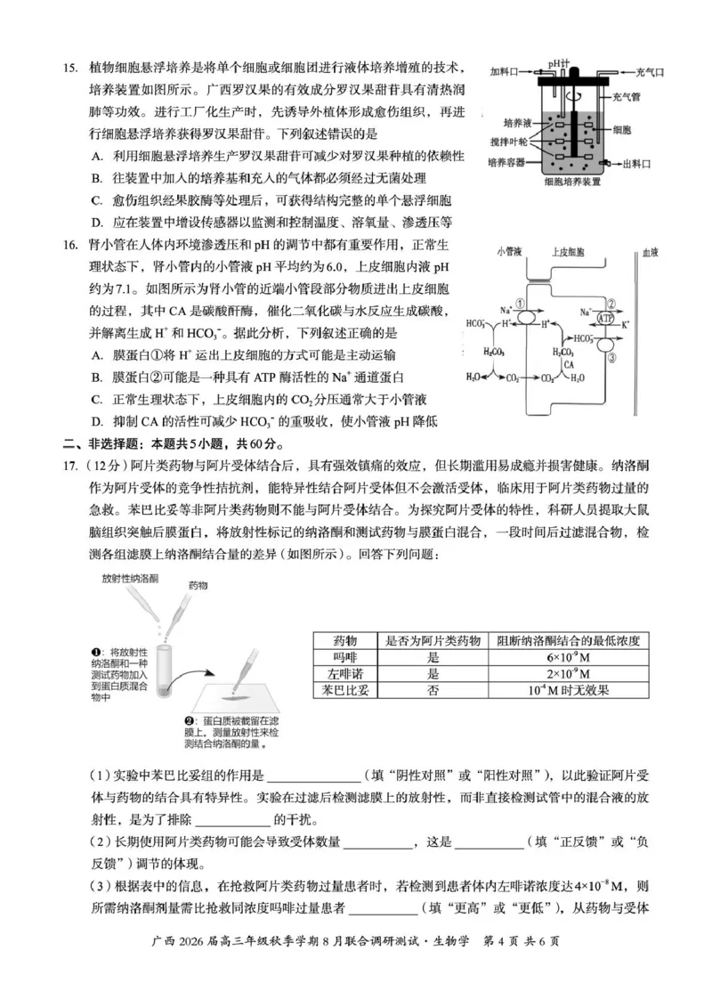 广西2026届新高考秋季学期8月适应性联合测试生物_2025年8月_250821邕衡教育&middot;名校联盟广西2026届新高考秋季学期8月适应性联合测试（全科）