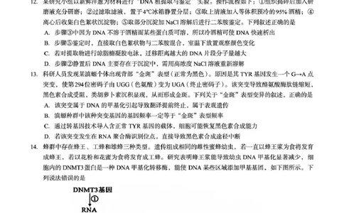 广西2026届新高考秋季学期8月适应性联合测试生物_2025年8月_250821邕衡教育&middot;名校联盟广西2026届新高考秋季学期8月适应性联合测试（全科）