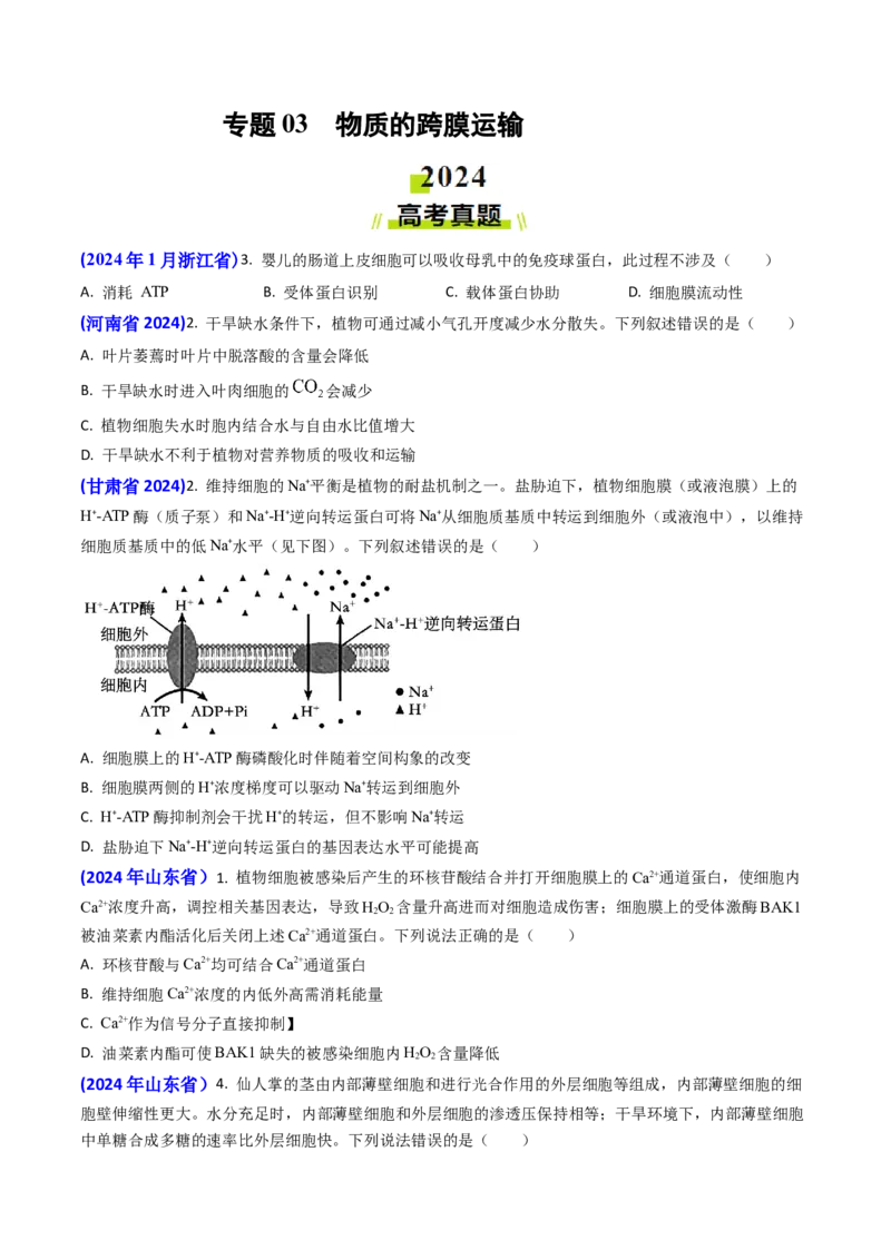 专题03物质的跨膜运输-2024年高考真题和模拟题生物分类汇编(学生卷）_近10年高考真题汇编（必刷）_十年（2014-2024）高考生物真题分项汇编（全国通用）