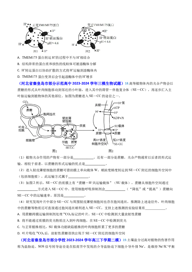 专题03物质的跨膜运输-2024年高考真题和模拟题生物分类汇编(学生卷）_近10年高考真题汇编（必刷）_十年（2014-2024）高考生物真题分项汇编（全国通用）