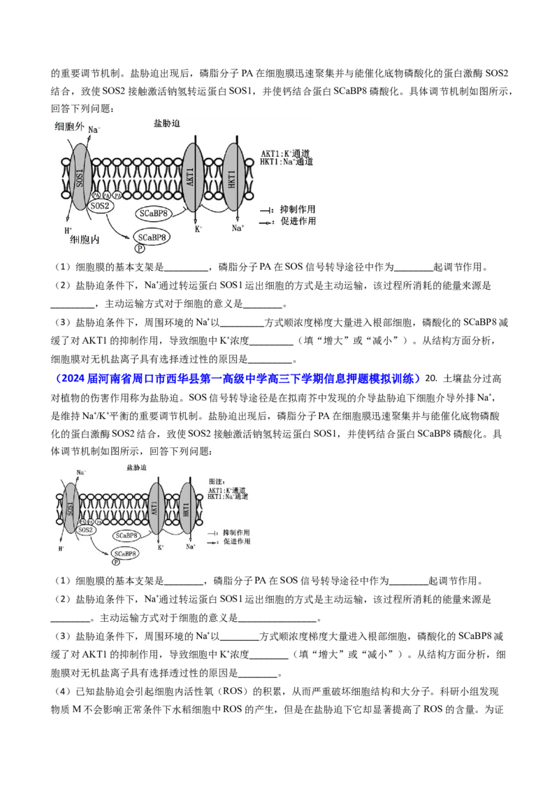 专题03物质的跨膜运输-2024年高考真题和模拟题生物分类汇编(学生卷）_近10年高考真题汇编（必刷）_十年（2014-2024）高考生物真题分项汇编（全国通用）