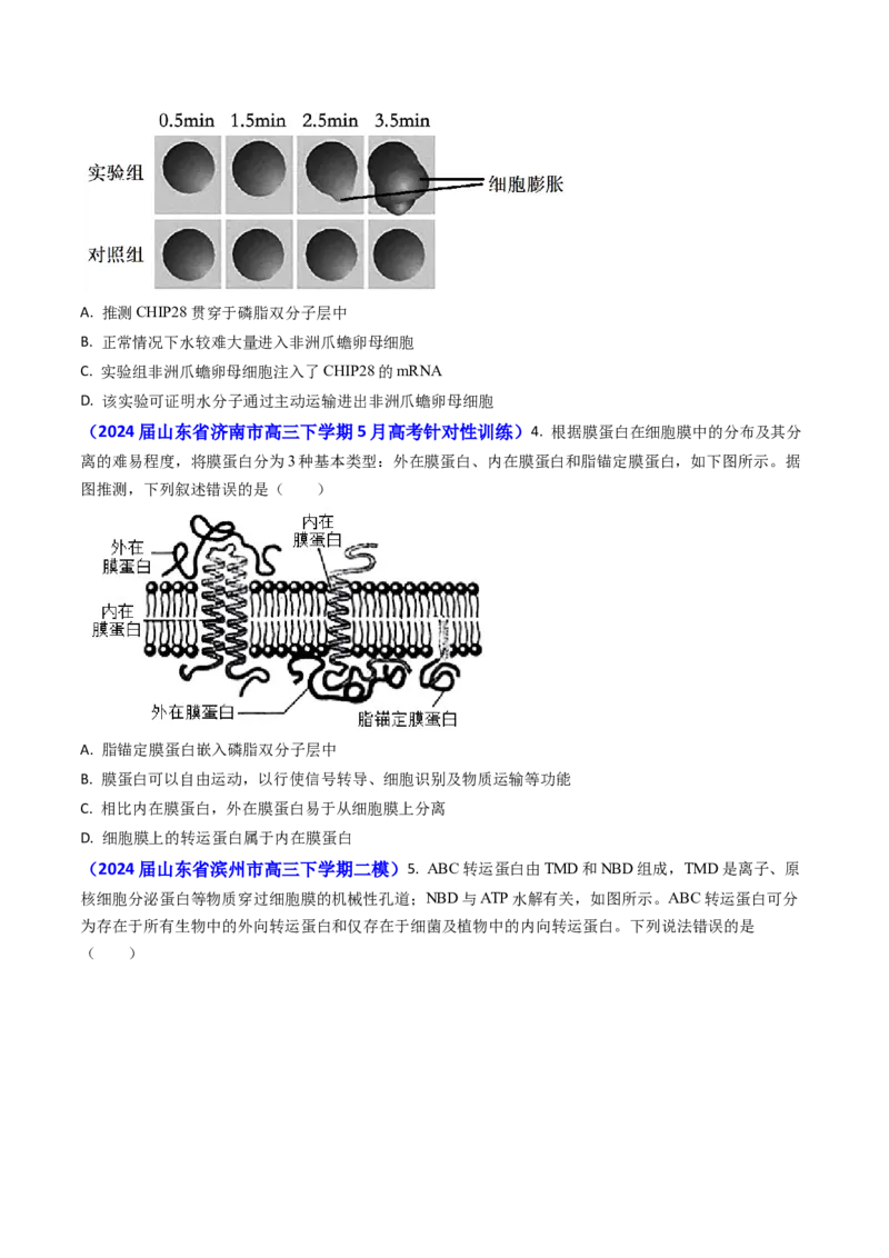 专题03物质的跨膜运输-2024年高考真题和模拟题生物分类汇编(学生卷）_近10年高考真题汇编（必刷）_十年（2014-2024）高考生物真题分项汇编（全国通用）