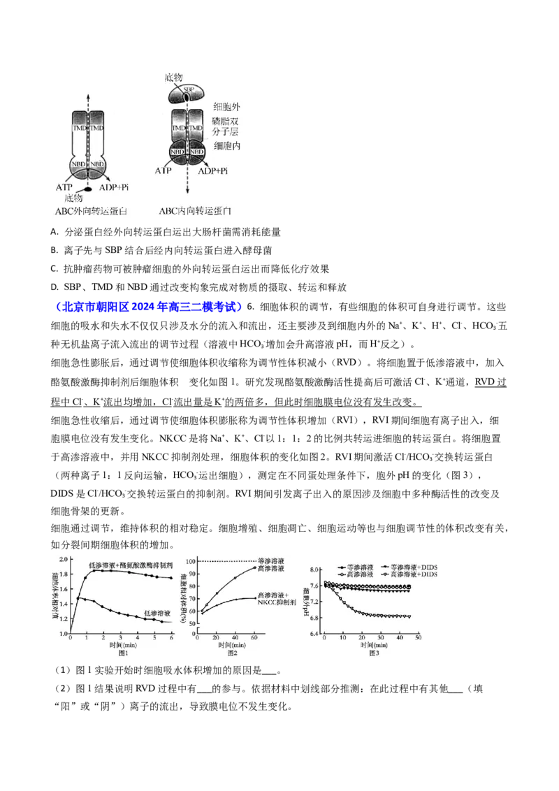 专题03物质的跨膜运输-2024年高考真题和模拟题生物分类汇编(学生卷）_近10年高考真题汇编（必刷）_十年（2014-2024）高考生物真题分项汇编（全国通用）