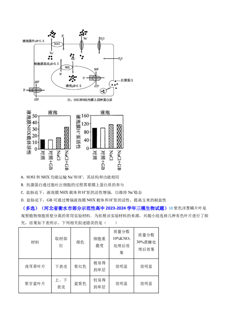 专题03物质的跨膜运输-2024年高考真题和模拟题生物分类汇编(学生卷）_近10年高考真题汇编（必刷）_十年（2014-2024）高考生物真题分项汇编（全国通用）