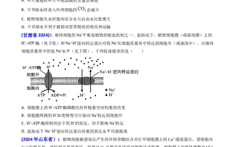 专题03物质的跨膜运输-2024年高考真题和模拟题生物分类汇编(学生卷）_近10年高考真题汇编（必刷）_十年（2014-2024）高考生物真题分项汇编（全国通用）