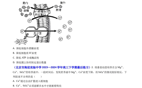 专题03物质的跨膜运输-2024年高考真题和模拟题生物分类汇编(学生卷）_近10年高考真题汇编（必刷）_十年（2014-2024）高考生物真题分项汇编（全国通用）