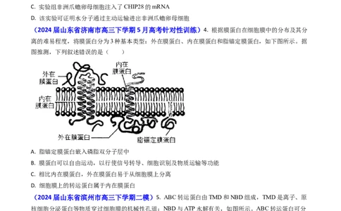 专题03物质的跨膜运输-2024年高考真题和模拟题生物分类汇编(学生卷）_近10年高考真题汇编（必刷）_十年（2014-2024）高考生物真题分项汇编（全国通用）