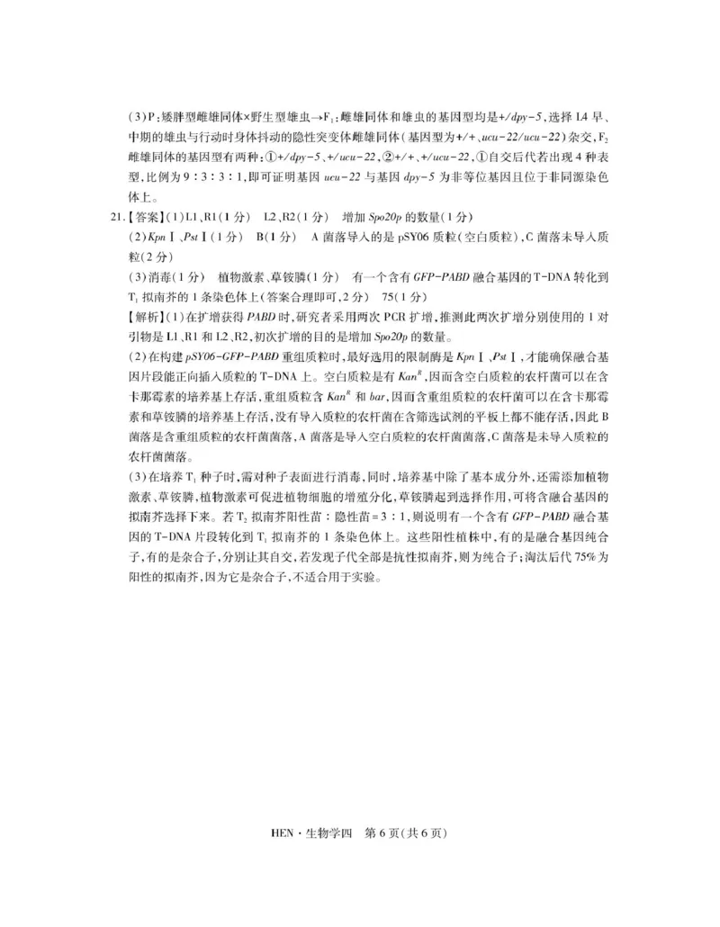 生物答案_4_2025年3月_250331名校学术联盟&middot;高考模拟信息卷&冲刺卷&预测卷（全科）_2025届名校学术联盟高三下学期模拟冲刺生物试题（四）