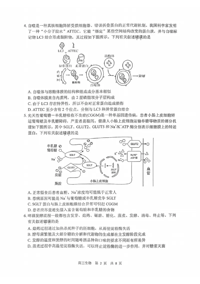 生物试题_2025年2月_250222江苏省泰州市2024-2025学年高三下学期开学调研测试（全科）