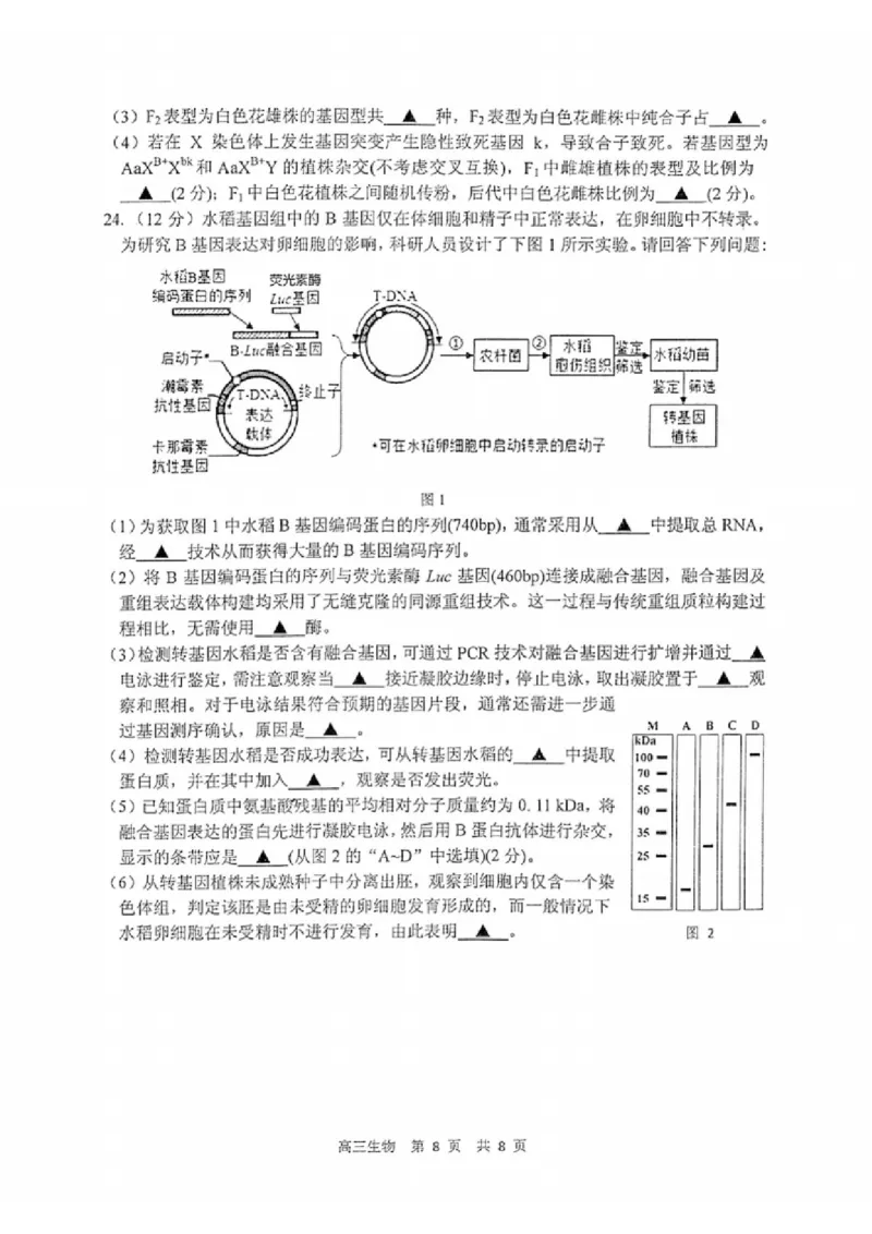 生物试题_2025年2月_250222江苏省泰州市2024-2025学年高三下学期开学调研测试（全科）