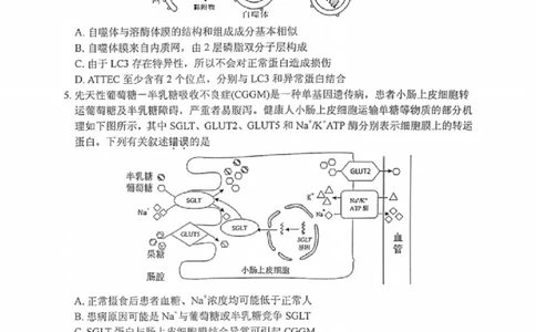 生物试题_2025年2月_250222江苏省泰州市2024-2025学年高三下学期开学调研测试（全科）