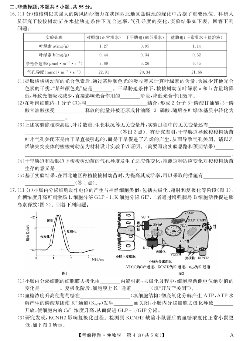生物-5月考前押题（A）_2025年5月_250528安徽省九师联盟2025届高三下学期5月考前押题（全科）