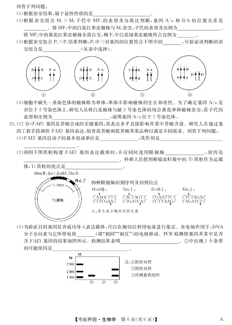生物-5月考前押题（A）_2025年5月_250528安徽省九师联盟2025届高三下学期5月考前押题（全科）