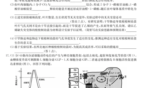 生物-5月考前押题（A）_2025年5月_250528安徽省九师联盟2025届高三下学期5月考前押题（全科）