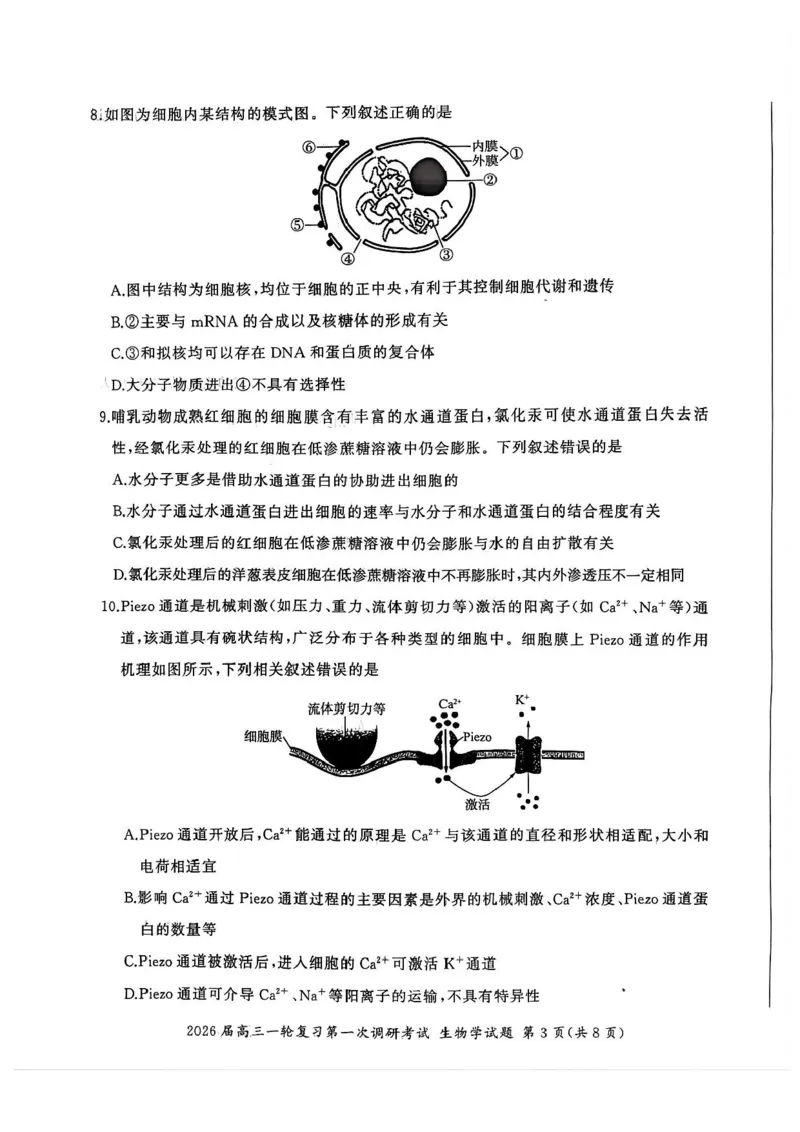 生物试题（D）_2025年10月_2510182026届百师联盟高三上学期第一次调研考试（10月）（全科）_2026届百师联盟高三上学期第一次调研考试生物试卷（含答案）