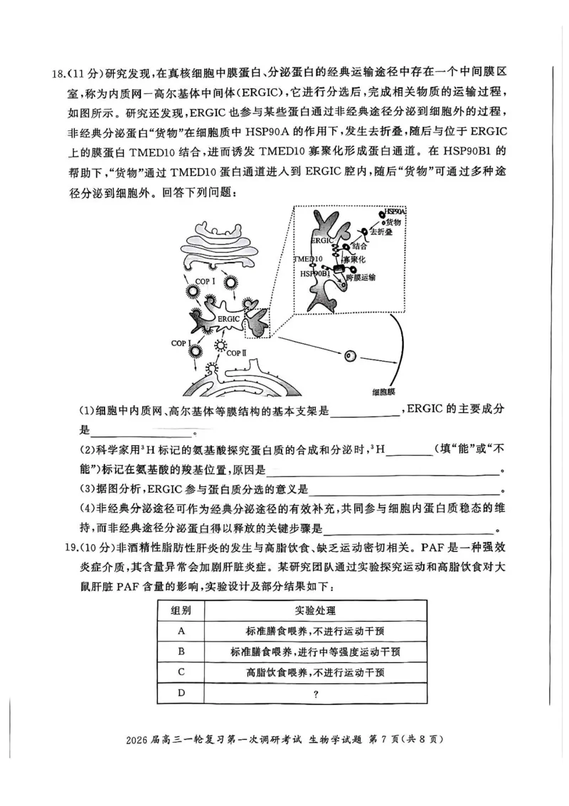 生物试题（D）_2025年10月_2510182026届百师联盟高三上学期第一次调研考试（10月）（全科）_2026届百师联盟高三上学期第一次调研考试生物试卷（含答案）