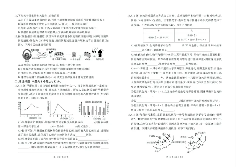 甘肃省部分学校2025届高三上学期第一次联考（期末）生物试卷（含解析）_2025年1月_250109甘肃省部分学校2025届高三上学期第一次联考（期末）