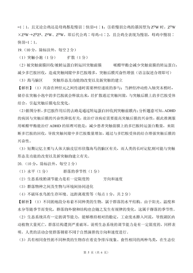 甘肃省部分学校2025届高三上学期第一次联考（期末）生物试卷（含解析）_2025年1月_250109甘肃省部分学校2025届高三上学期第一次联考（期末）