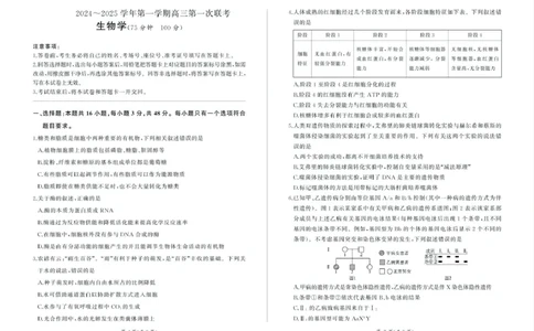 甘肃省部分学校2025届高三上学期第一次联考（期末）生物试卷（含解析）_2025年1月_250109甘肃省部分学校2025届高三上学期第一次联考（期末）