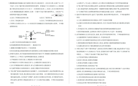 甘肃省部分学校2025届高三上学期第一次联考（期末）生物试卷（含解析）_2025年1月_250109甘肃省部分学校2025届高三上学期第一次联考（期末）