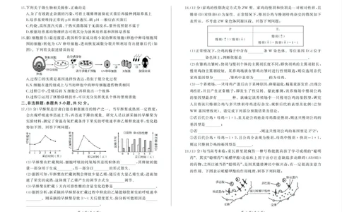 甘肃省部分学校2025届高三上学期第一次联考（期末）生物试卷（含解析）_2025年1月_250109甘肃省部分学校2025届高三上学期第一次联考（期末）