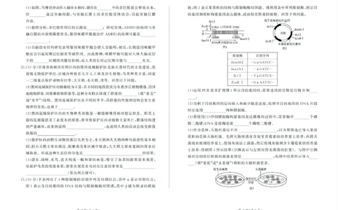 甘肃省部分学校2025届高三上学期第一次联考（期末）生物试卷（含解析）_2025年1月_250109甘肃省部分学校2025届高三上学期第一次联考（期末）