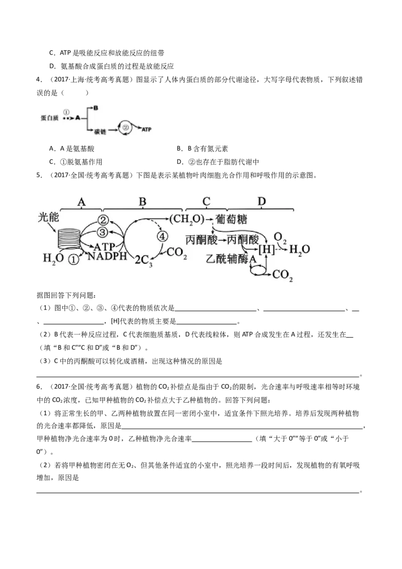 专题07细胞代谢的综合（原卷卷）_近10年高考真题汇编（必刷）_十年（2014-2024）高考生物真题分项汇编（全国通用）_十年（2014-2023）高考生物真题分项汇编（全国通用）
