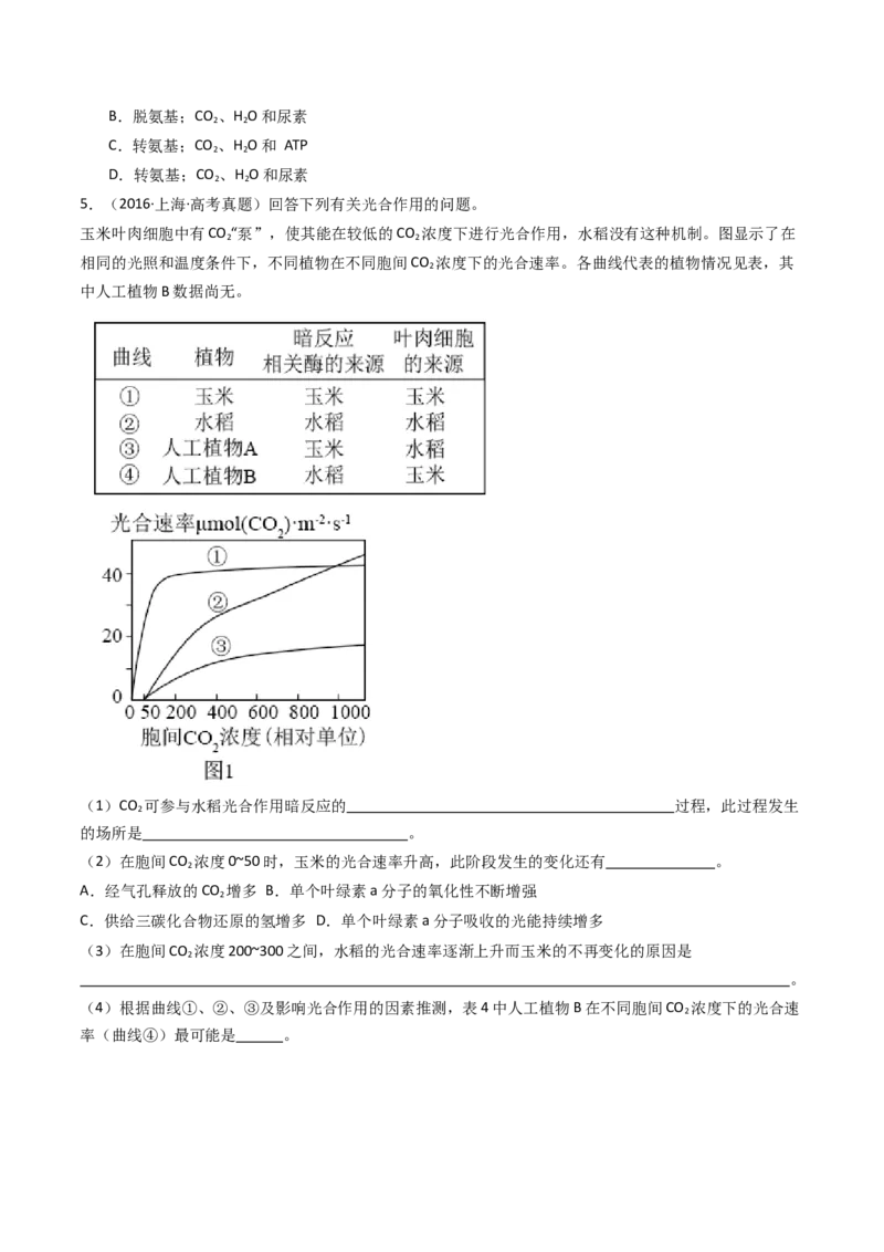 专题07细胞代谢的综合（原卷卷）_近10年高考真题汇编（必刷）_十年（2014-2024）高考生物真题分项汇编（全国通用）_十年（2014-2023）高考生物真题分项汇编（全国通用）