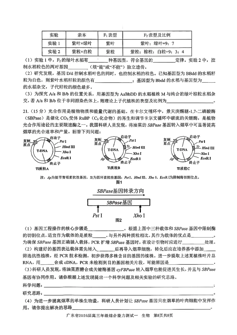 广东省2026届高三年级综合能力测试一_2025年8月_250830广东省光大联考2025-2026学年高三上学期综合能力测试（一）（全科）