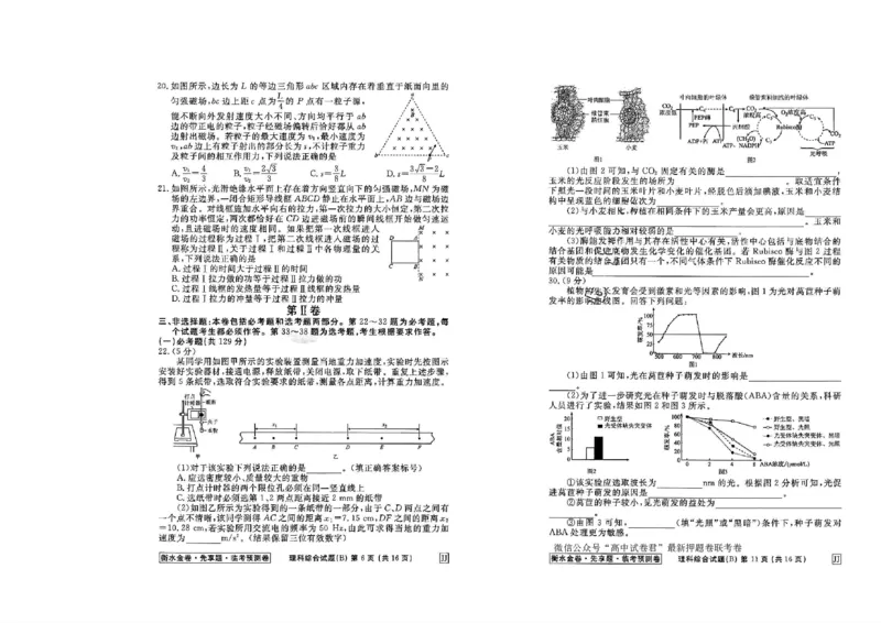 2023衡水临考预测（全国卷老教材）理综试卷_2023高考押题卷_2023衡水临考预测（全国卷老教材）理